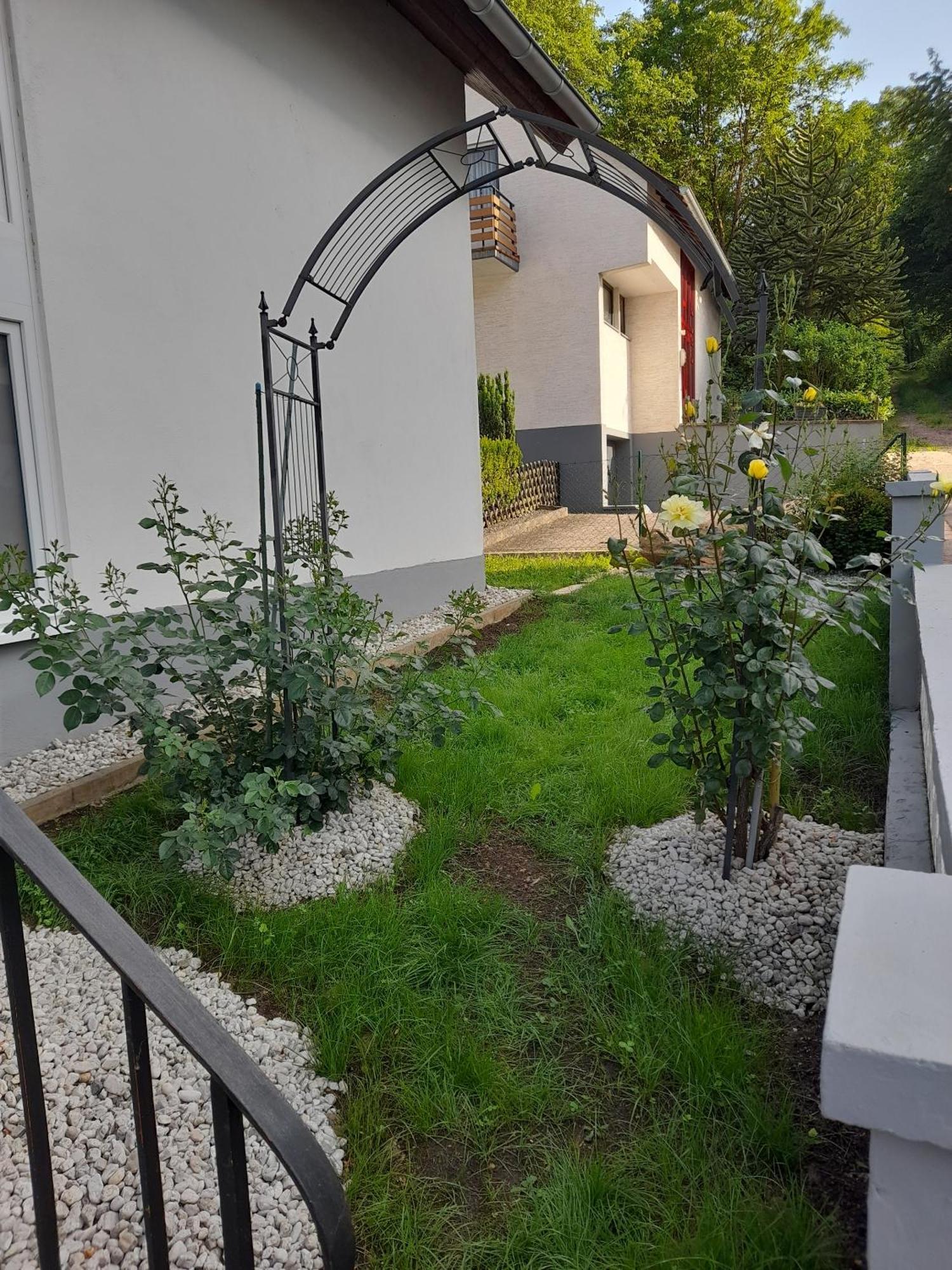 Gaestezimmer Bernkastel - Gaestehaus Barbara Exterior foto